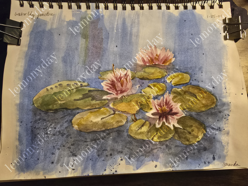 water lily study for class